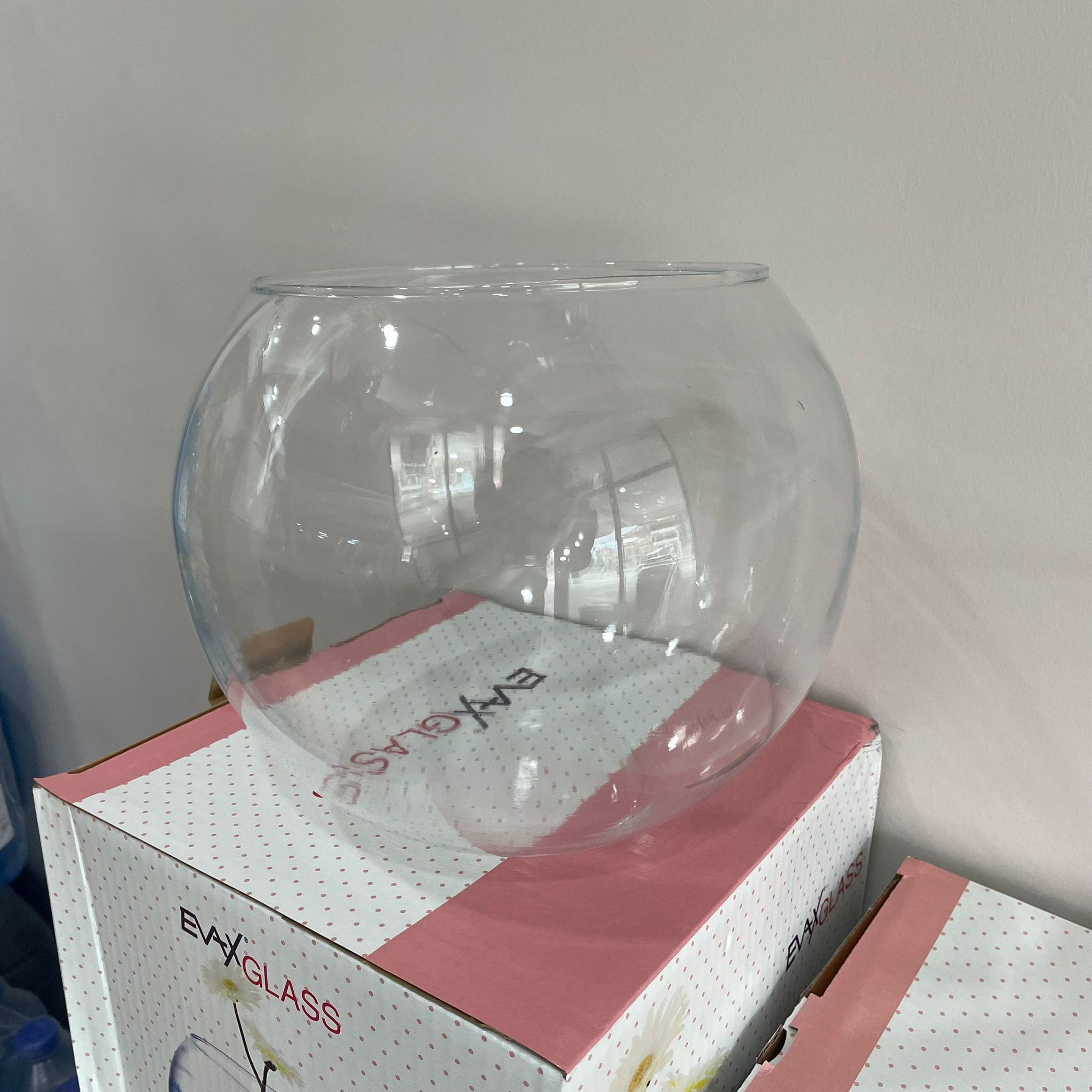 CAM AKVARYUM - CAM FANUS - KÜRE MODEL