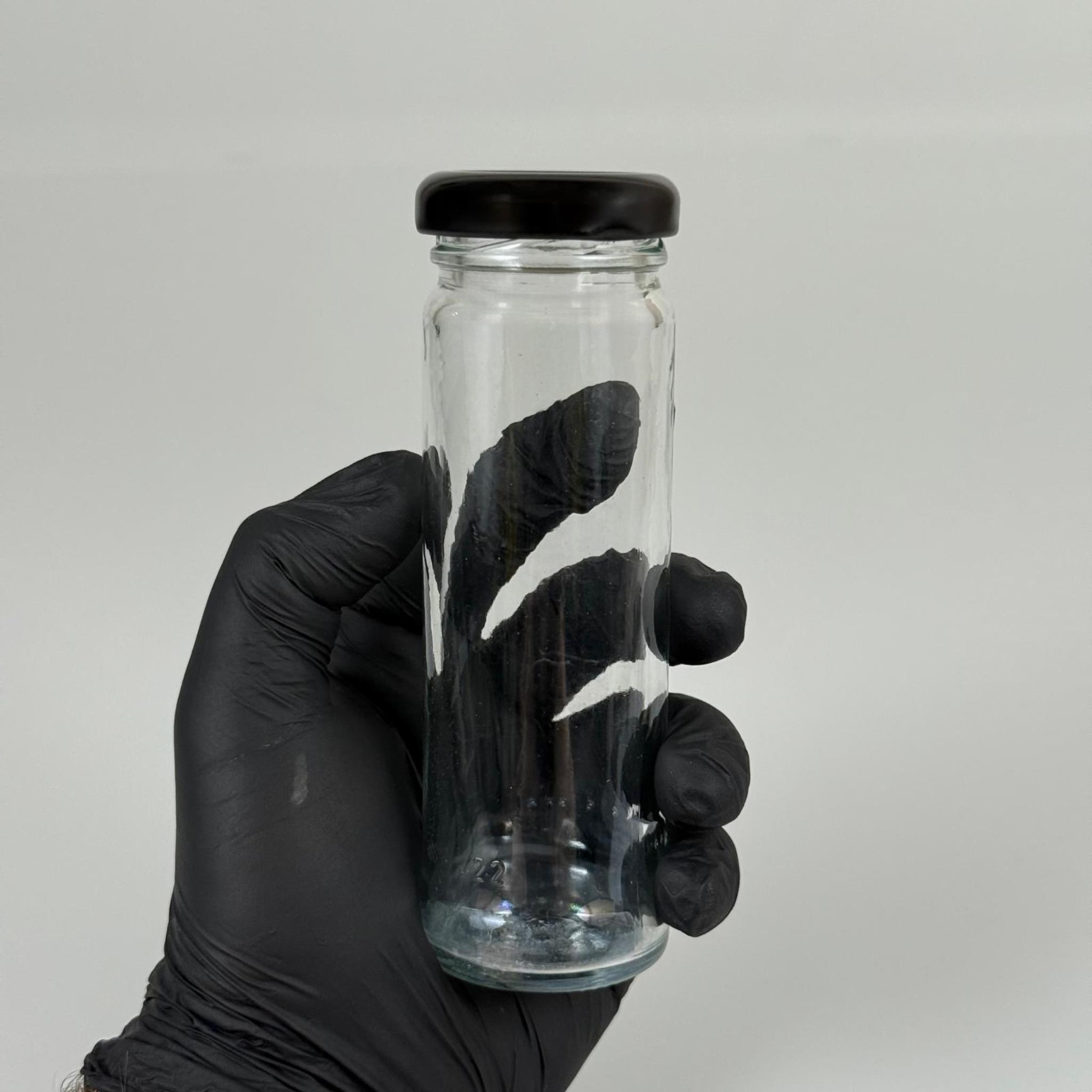 105 CC UZUN CAM KAVANOZ - SİYAH METAL KAPAKLI - 105 ML UZUN KAVANOZ (ŞİŞECAM KODU: 140111)