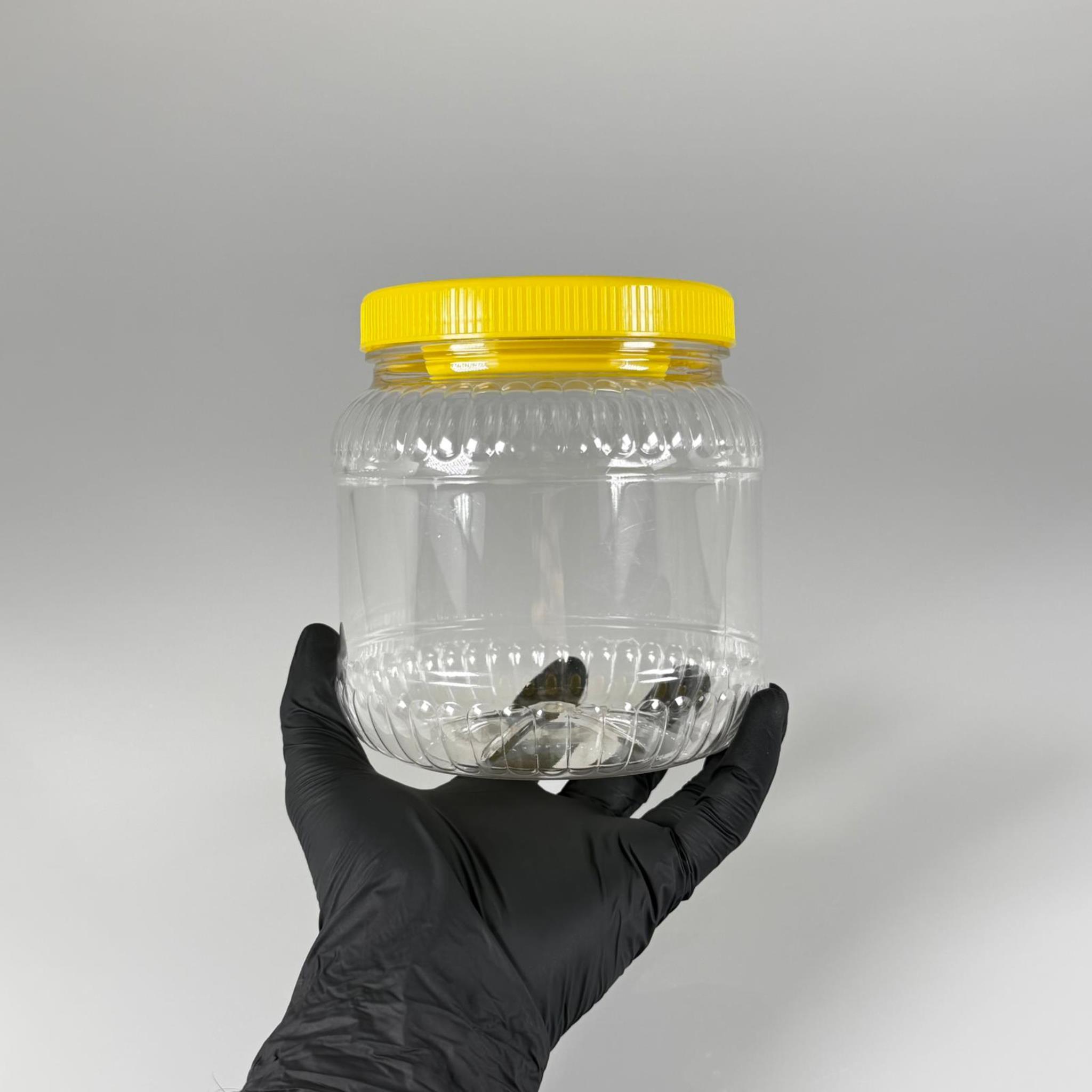 1300 CC PET KAVANOZ - SARI KAPAKLI - PLASTİK KAVANOZ - 1,3 LT PET BİDON - 1300 ML YUVARLAK KAVANOZ 110 MM AĞIZ- TURŞU, ZEYTİN VB İÇİN BOŞ PLASTİK BİDONLARI